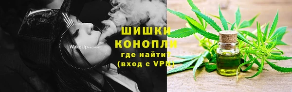 молекула духа Мегион