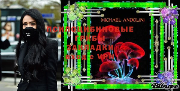 молекула духа Мегион