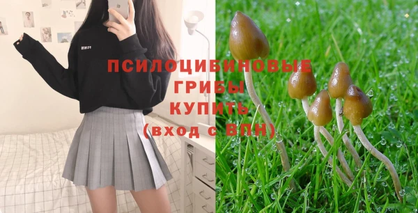 молекула духа Мегион