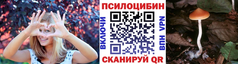 omg ссылки  Нижнеудинск  Галлюциногенные грибы ЛСД  где найти наркотики 